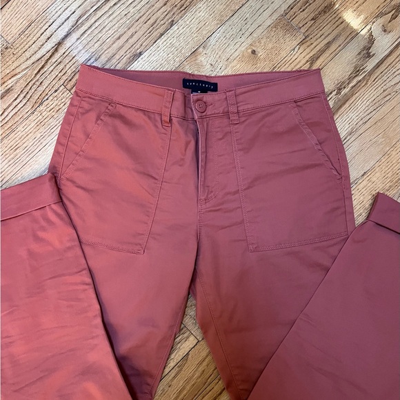 Sanctuary Terracotta Ankle Pants - Picture 3 of 4